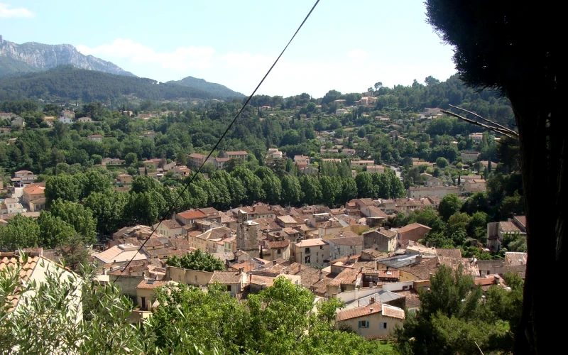 Auriol