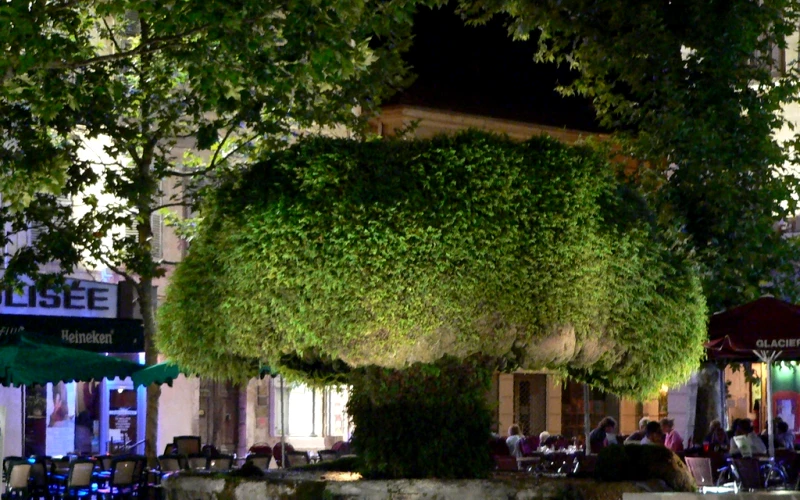 Salon-de-Provence