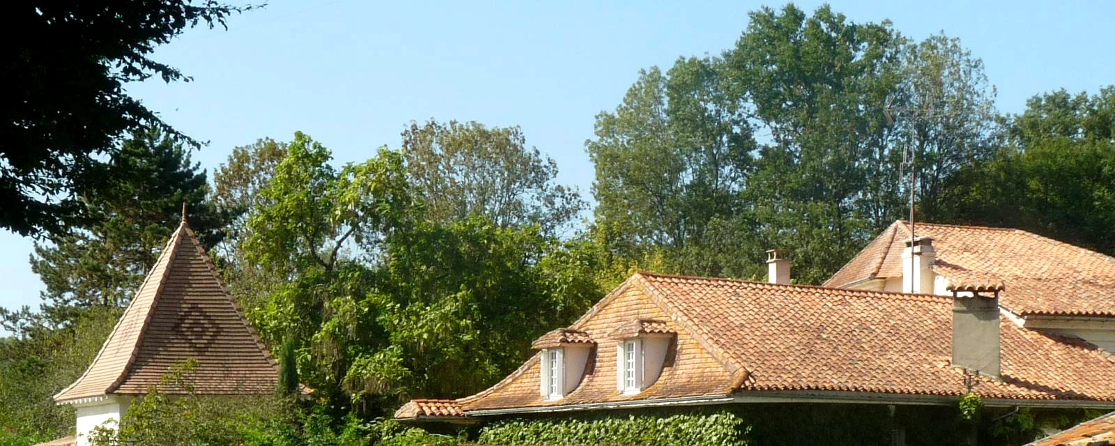 Vue de Bardenac, Charente