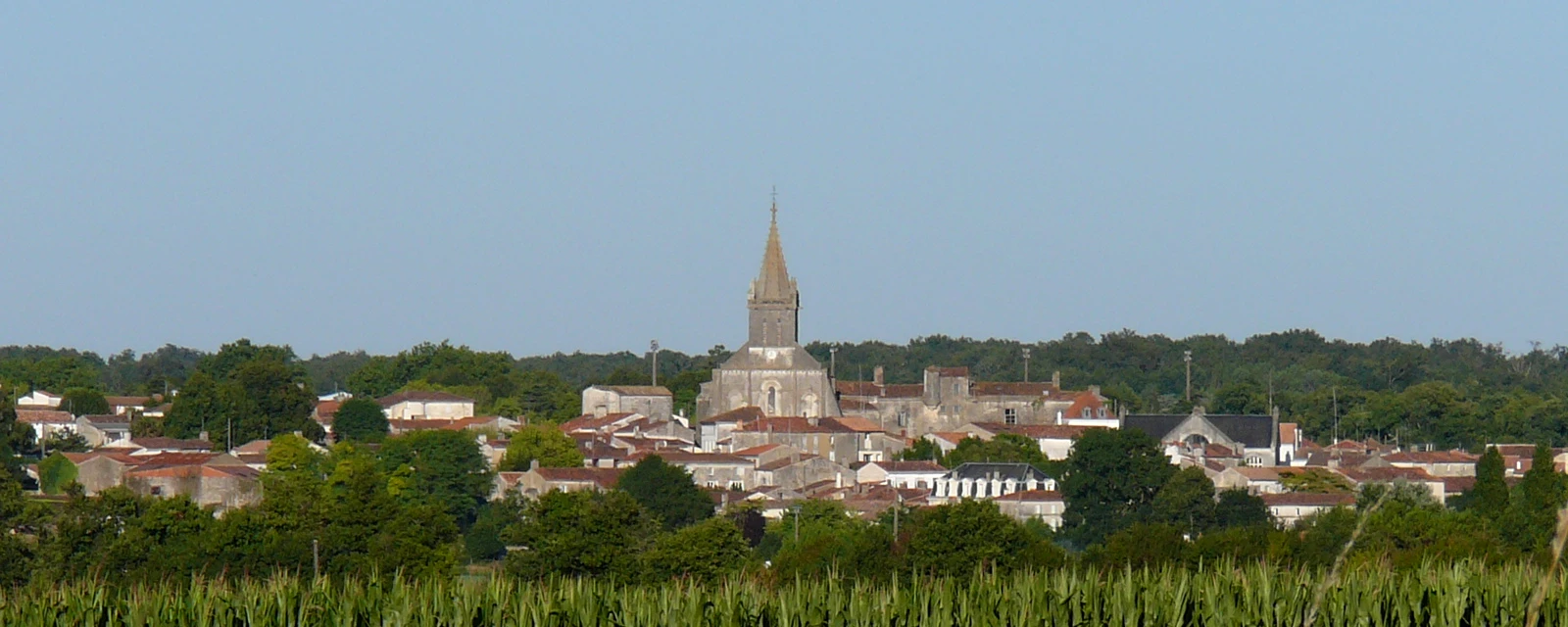 Vue de Pont-l'Abbé-d'Arnoult, Charente-Maritime