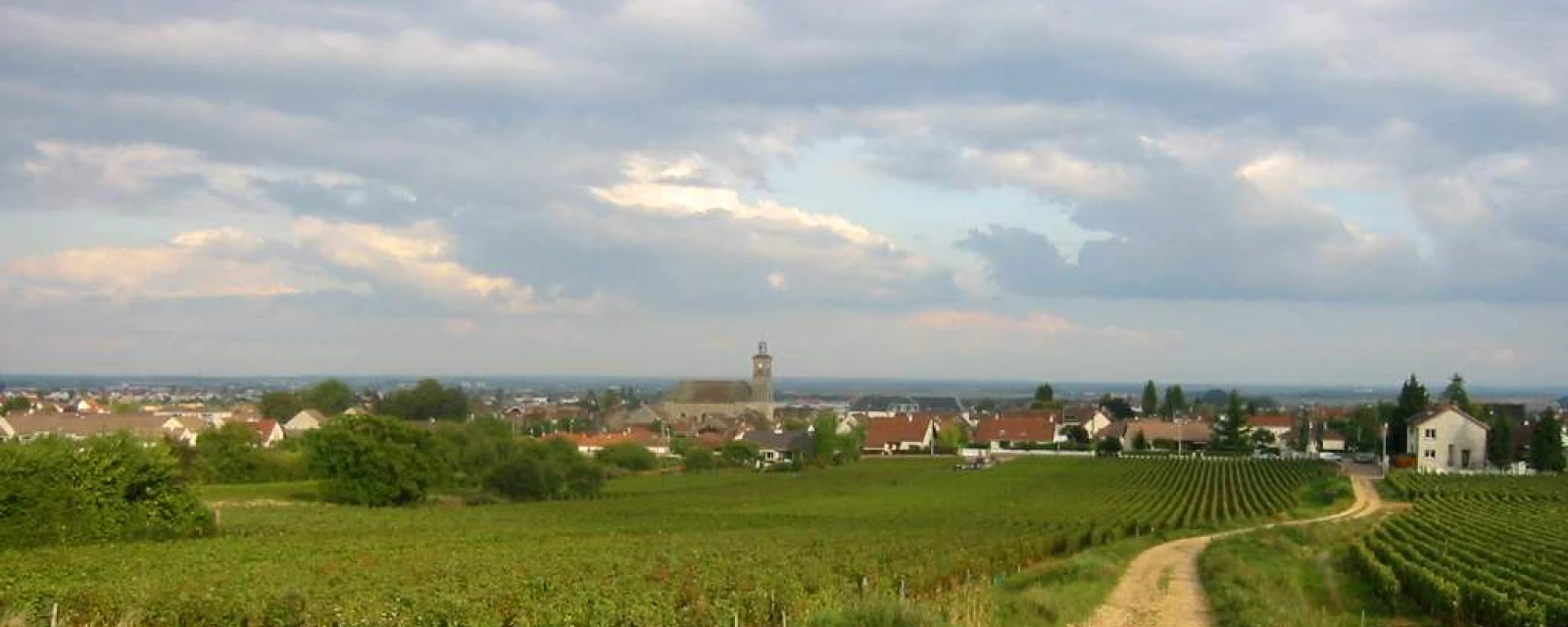 Vue de Marsannay-la-Côte, Côte-d'Or