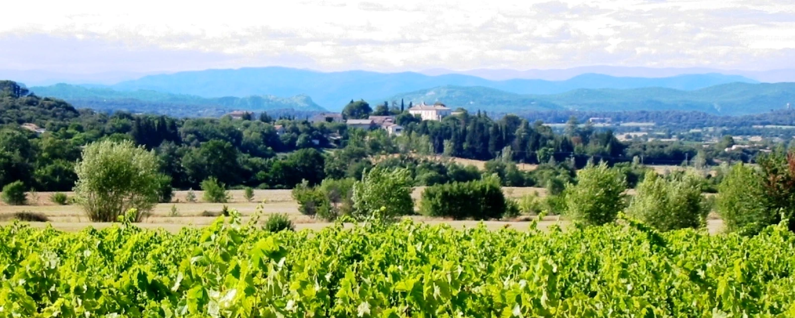 Vue de Puechredon, Gard
