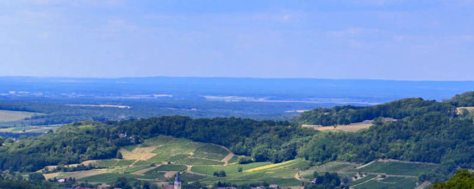 Vue de Mesnay, Jura