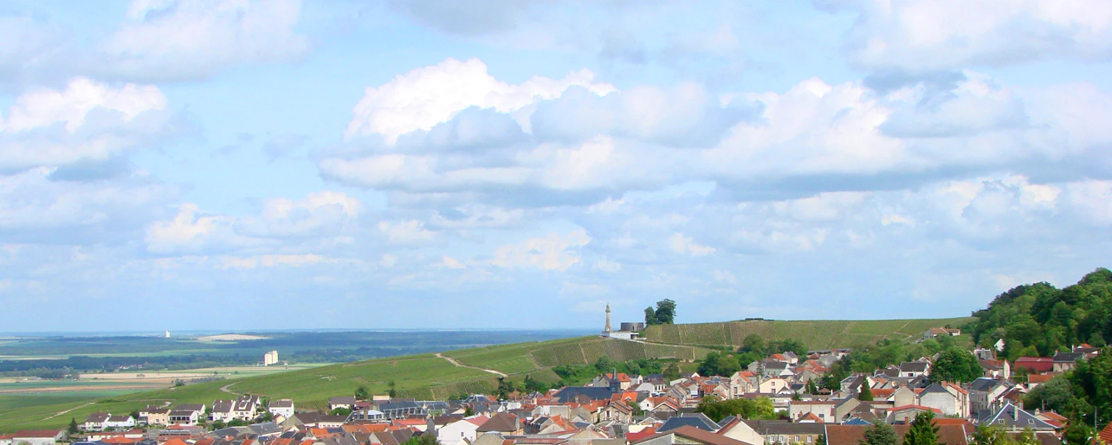 Vue de Verzenay, Marne