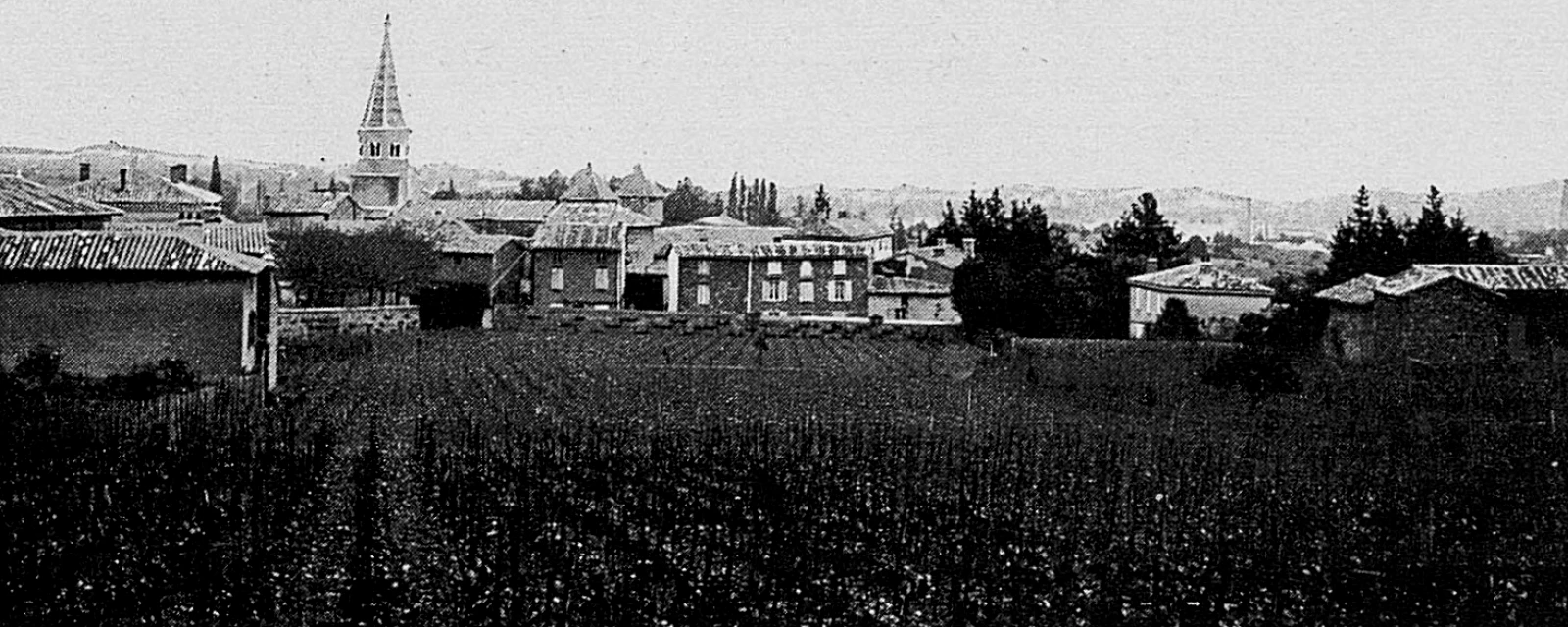 Vue de Limas, Rhône