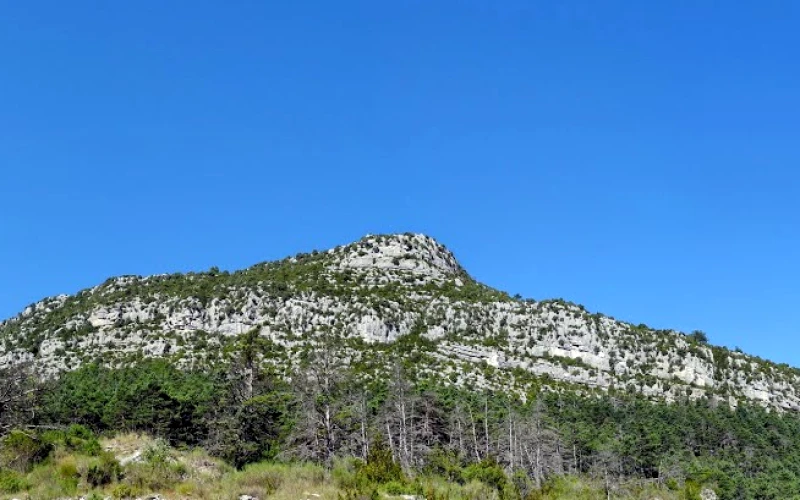 Le Bourguet