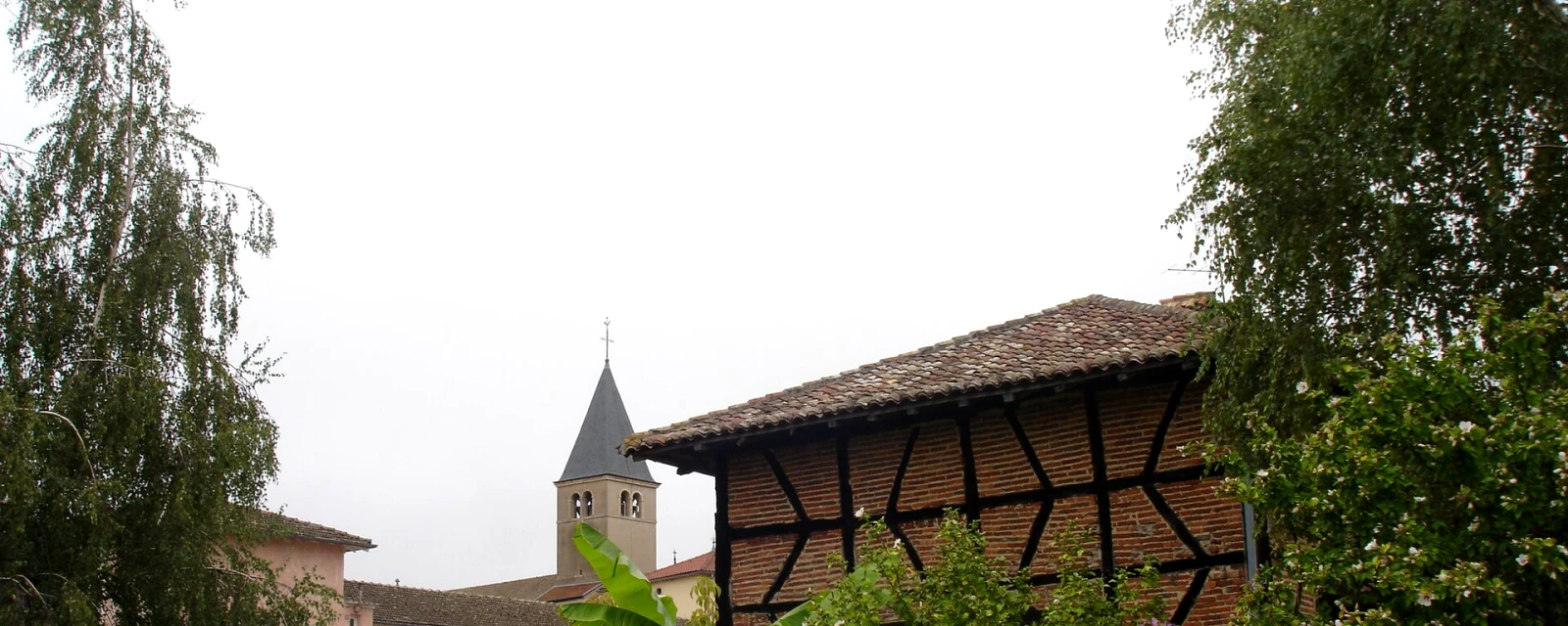 Vue de Chavannes-sur-Reyssouze, Ain