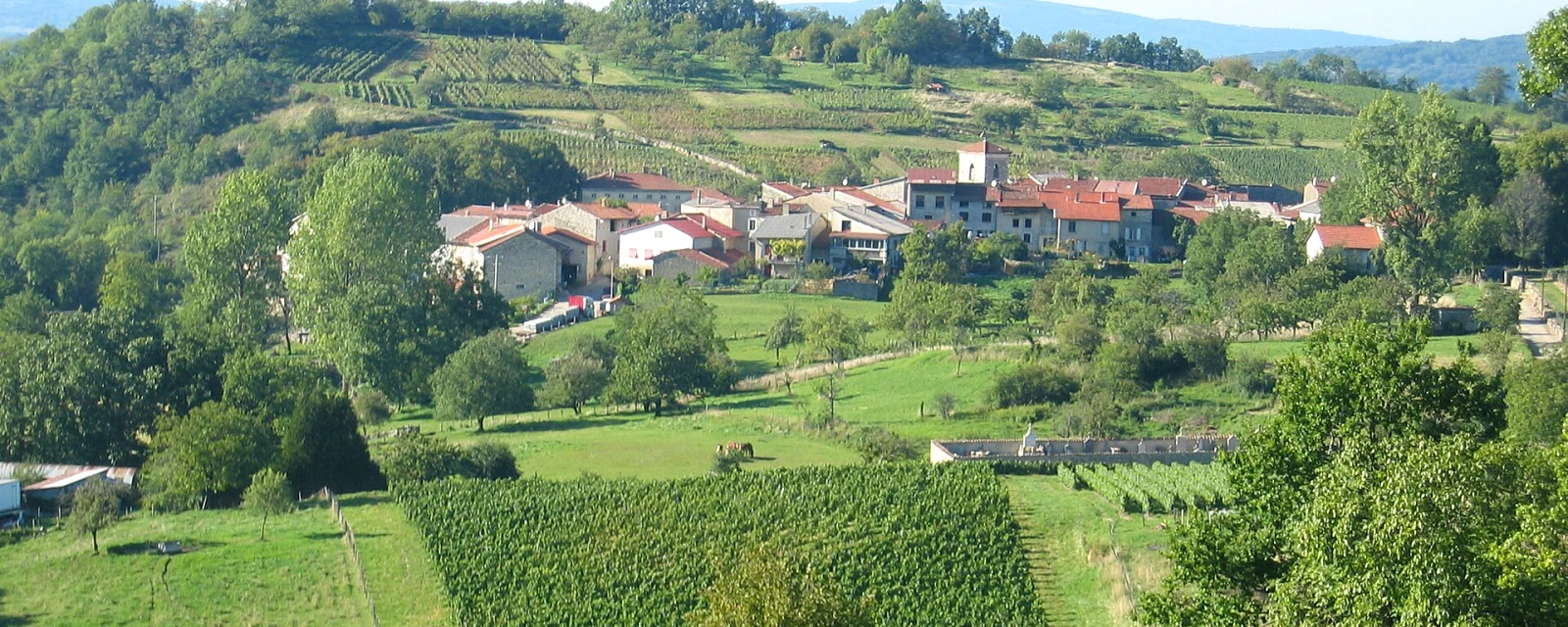 Vue de Mérignat, Ain
