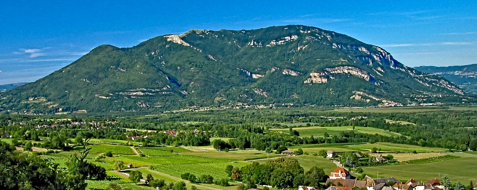 Vue de Vongnes, Ain