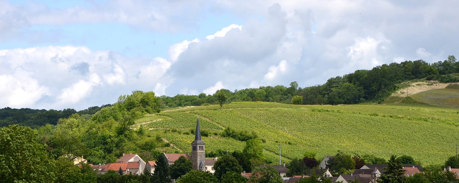 Vue de Brasles, Aisne
