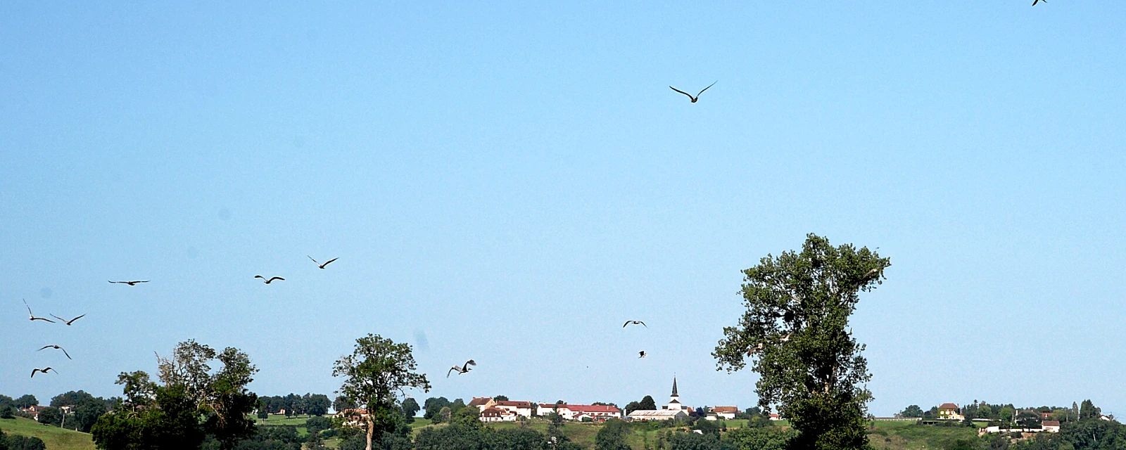 Vue de Avrilly, Allier
