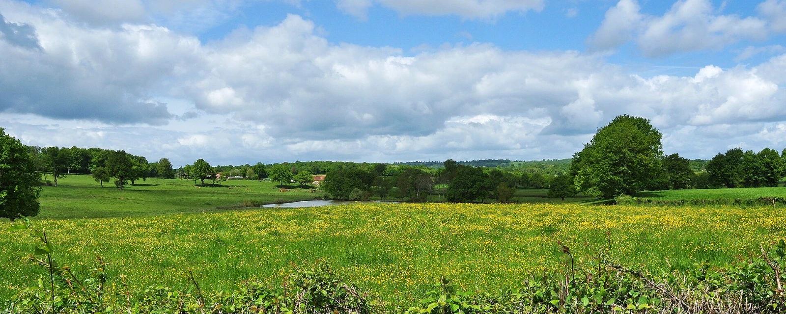 Vue de Couzon, Allier