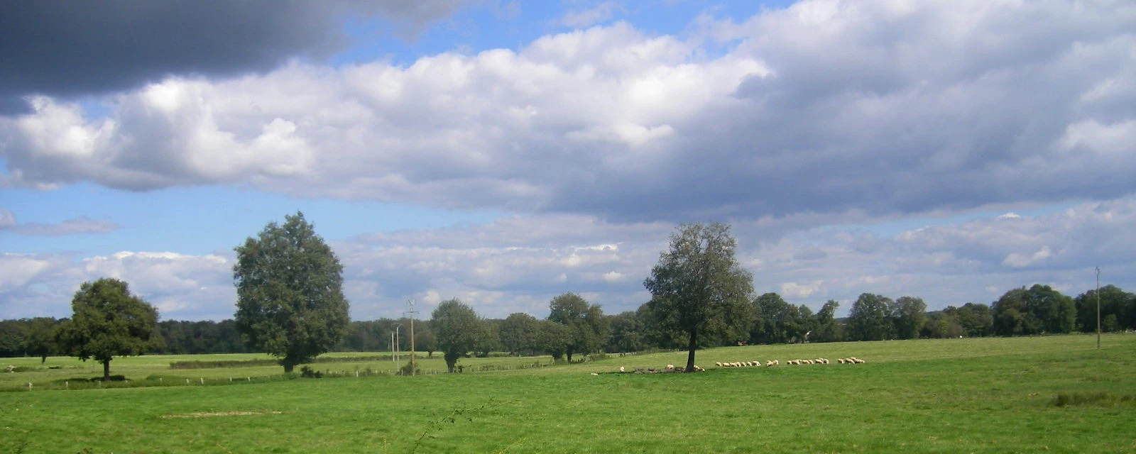 Vue de Gennetines, Allier