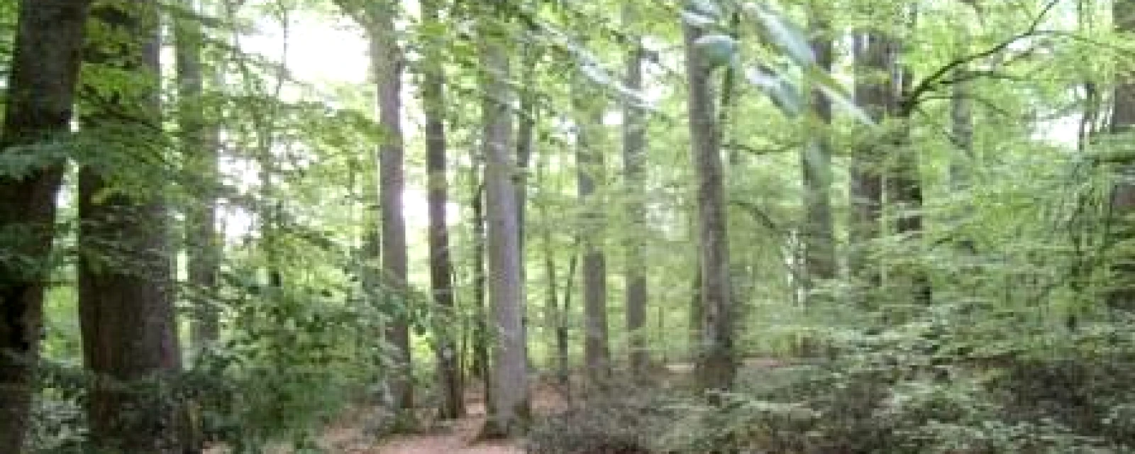 Vue de Isle-et-Bardais, Allier