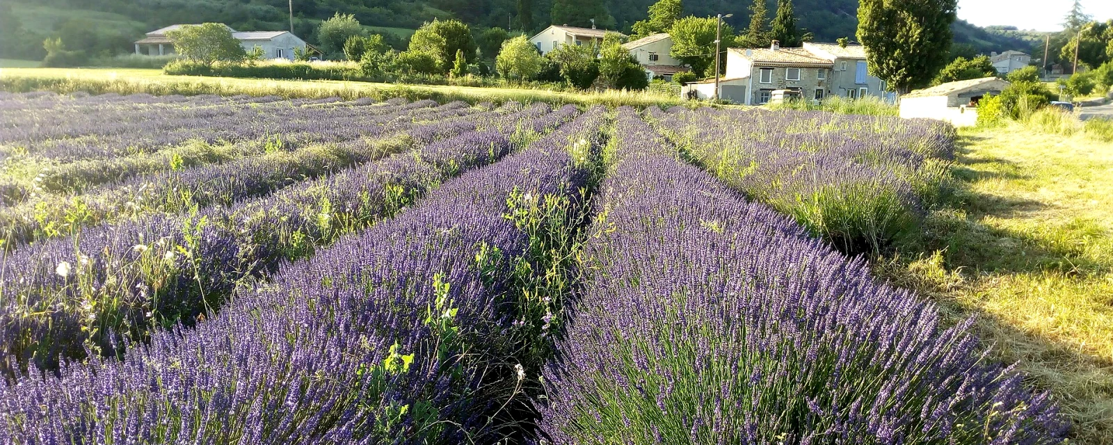 Vue de La Rochegiron, Alpes-de-Haute-Provence