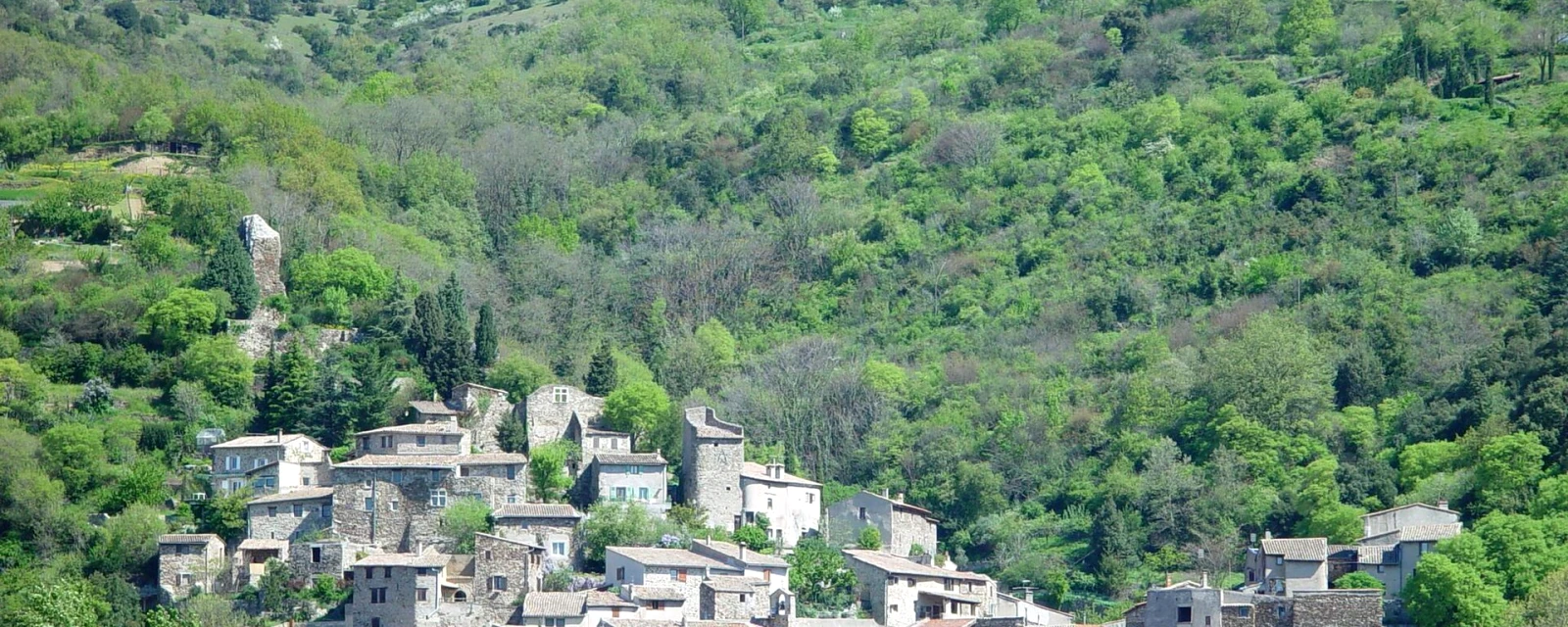 Vue de Beauchastel, Ardèche