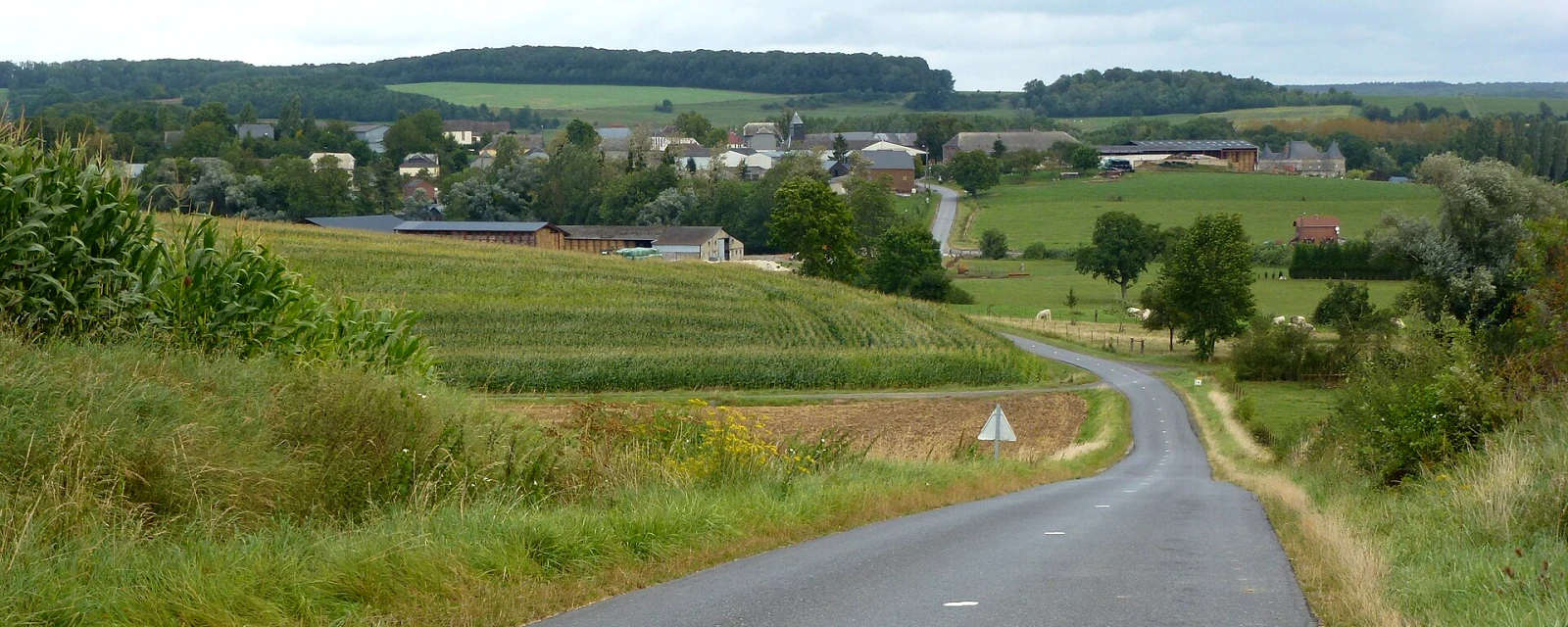 Vue de Doumely-Bégny, Ardennes