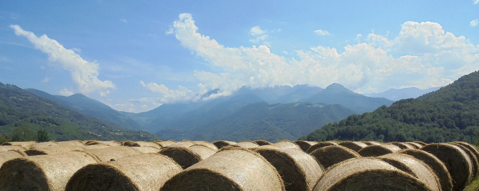 Vue de Sor, Ariège