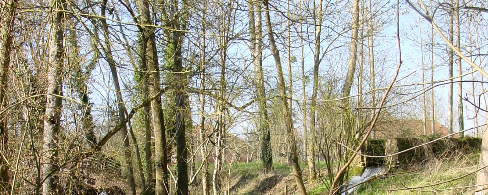 Vue de Crésantignes, Aube