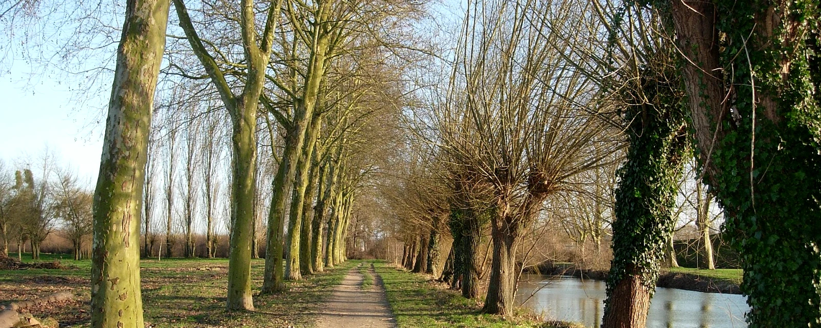 Vue de Romilly-sur-Seine, Aube