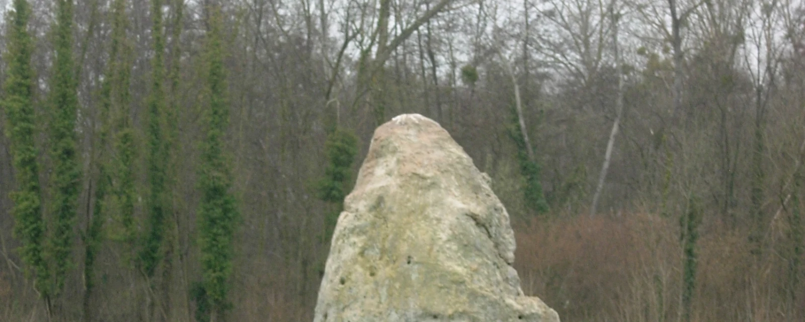Vue de Saint-Aubin, Aube