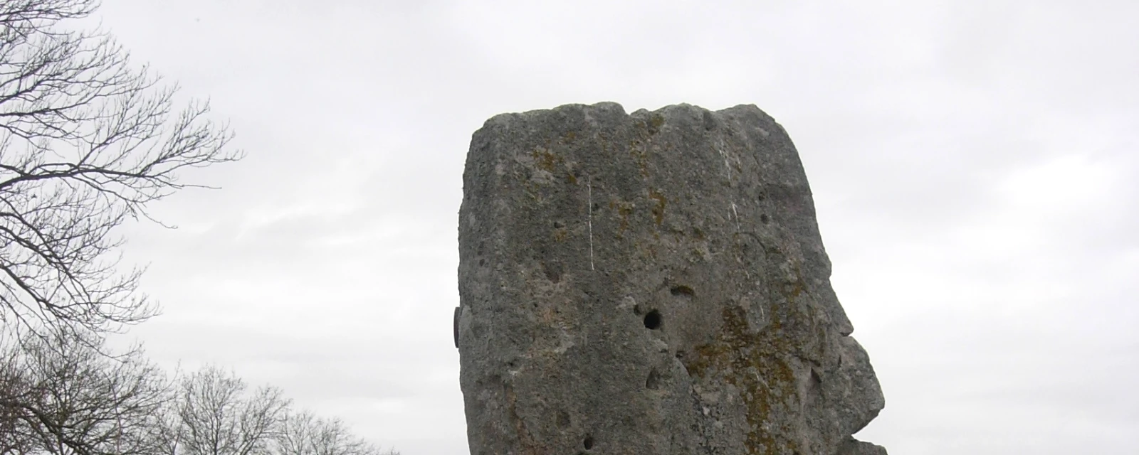 Vue de Soligny-les-Étangs, Aube