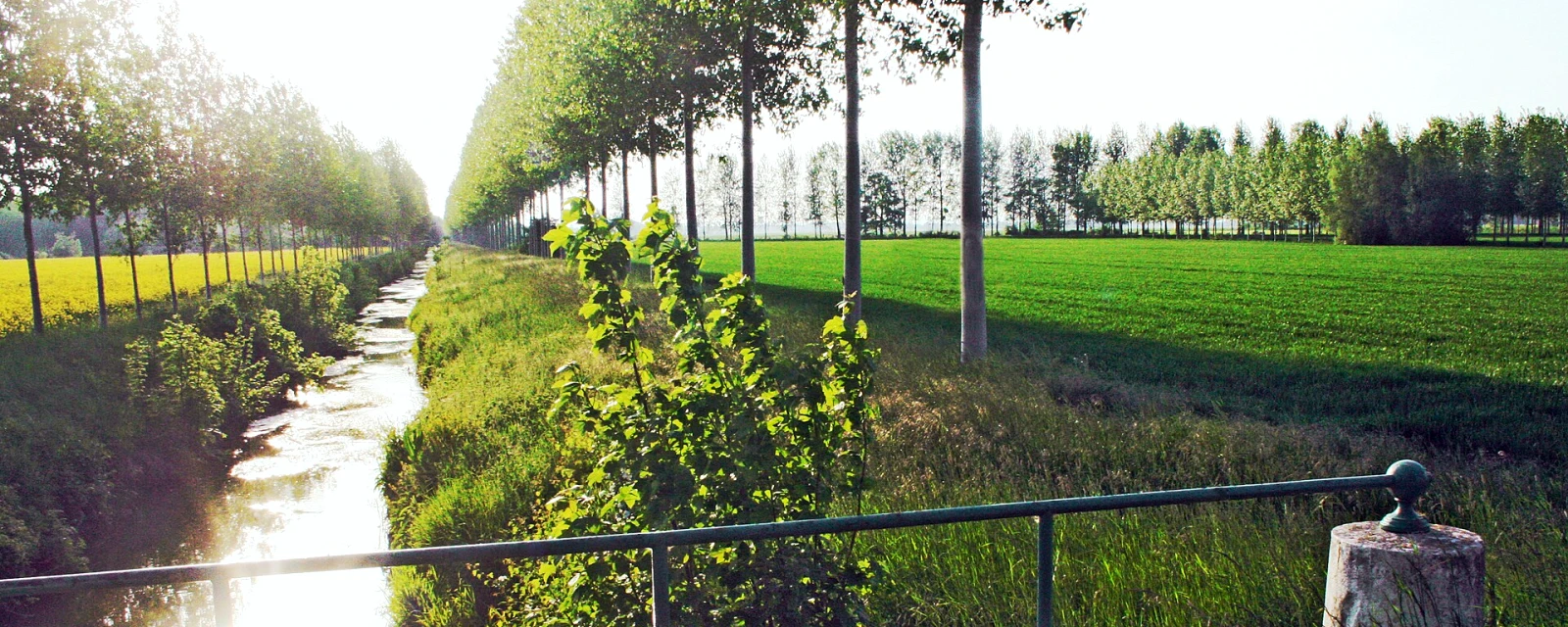 Vue de Vaudes, Aube