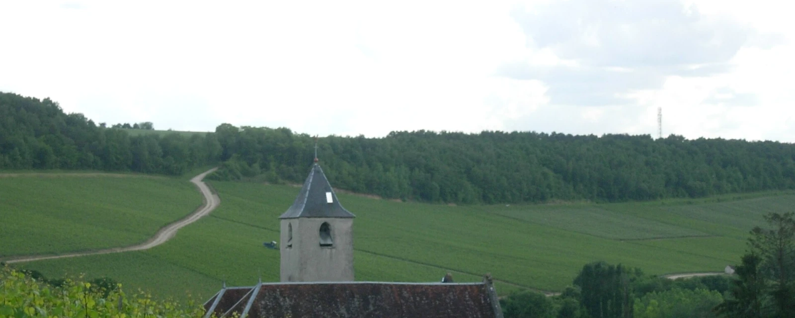 Vue de Viviers-sur-Artaut, Aube