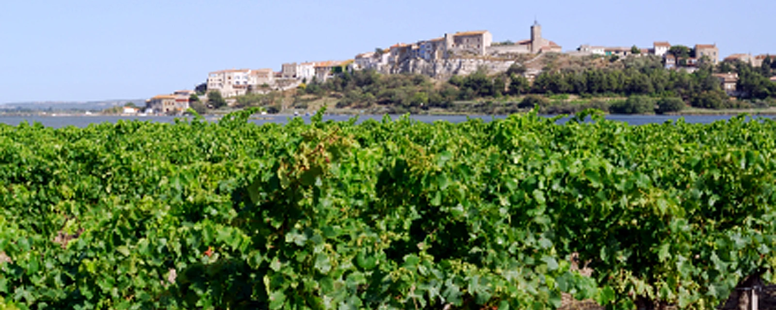 Vue de Bages, Aude