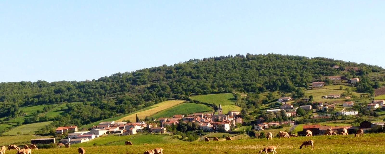 Vue de Rebourguil, Aveyron