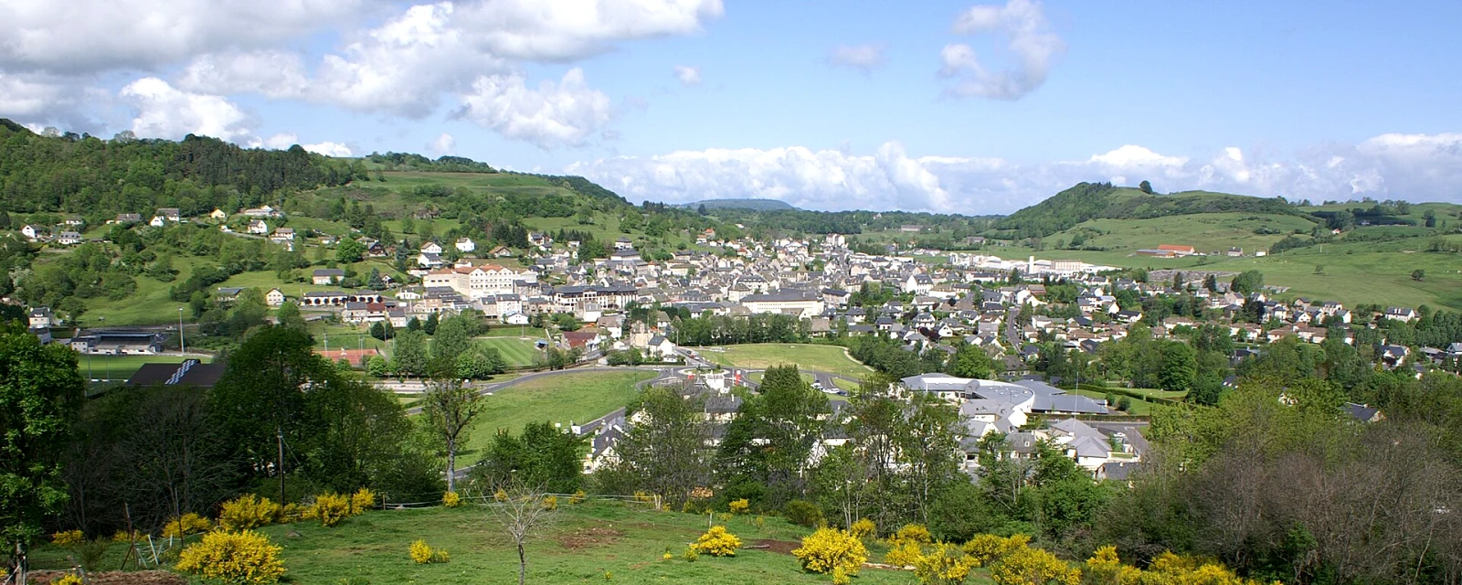Vue de Riom-ès-Montagnes, Cantal