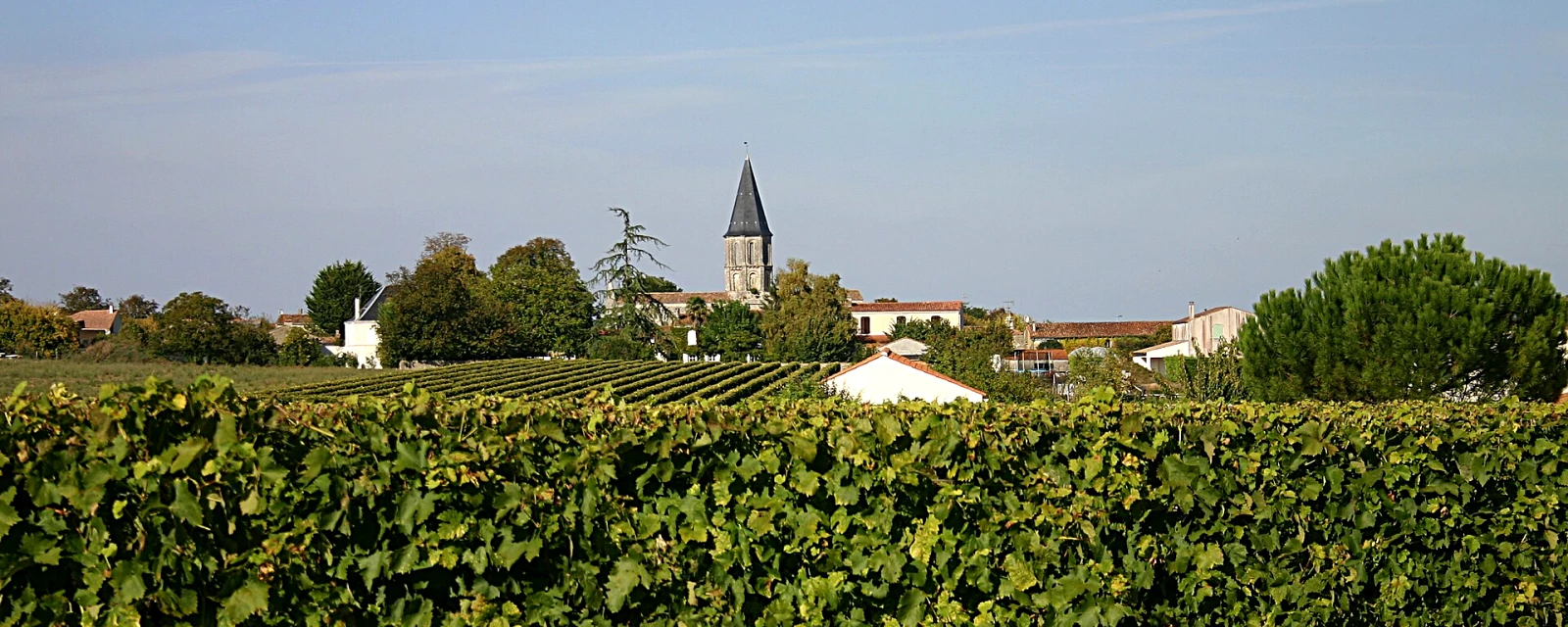 Vue de Mazeray, Charente-Maritime
