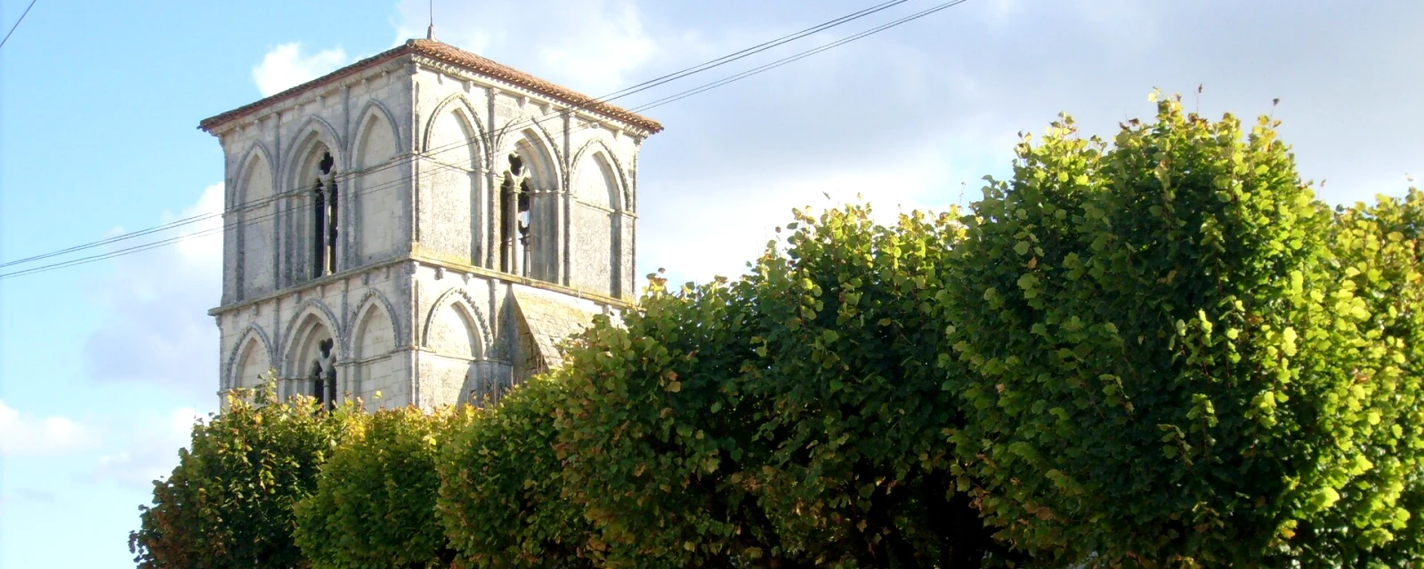 Vue de Saint-Ciers-du-Taillon, Charente-Maritime