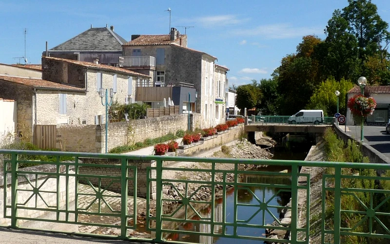 Saujon