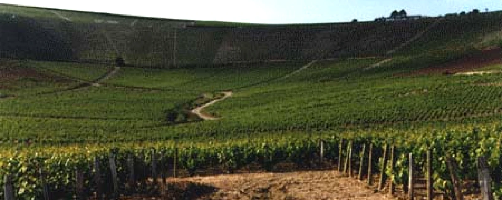 Vue de Bué, Cher
