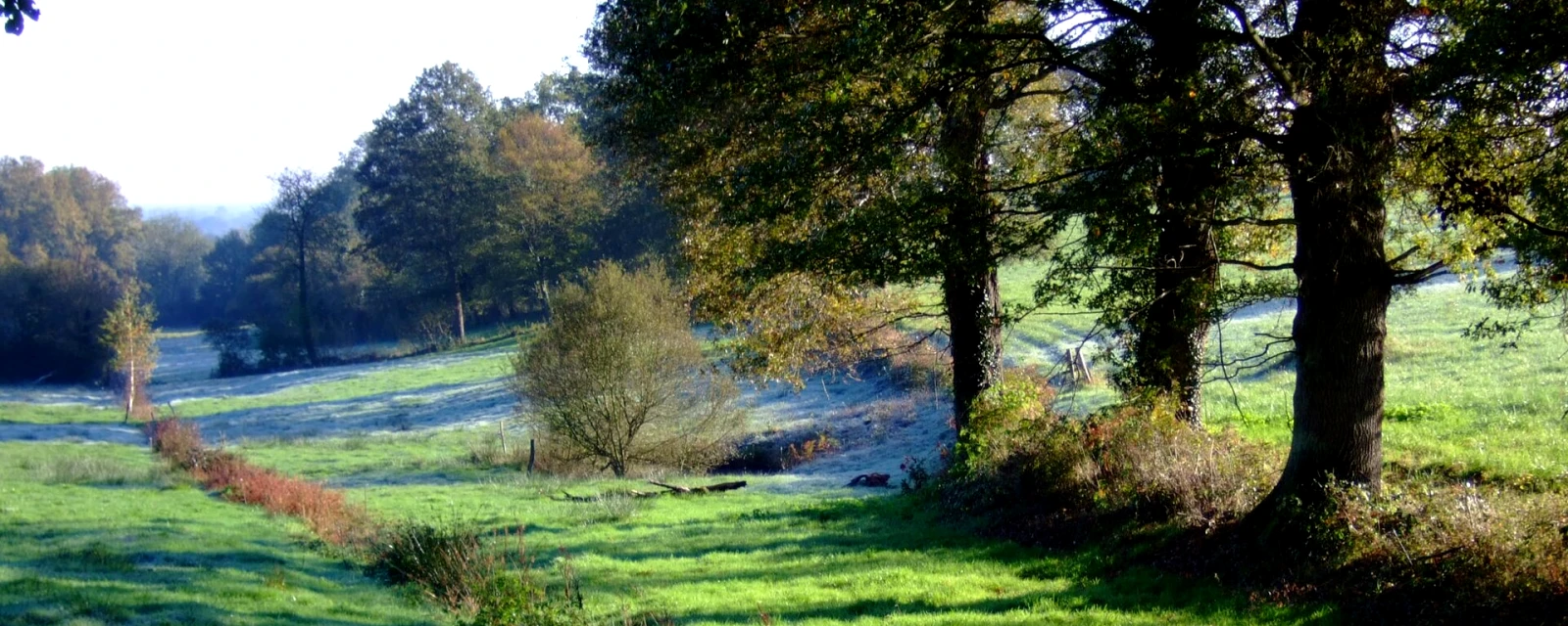 Vue de Reigny, Cher