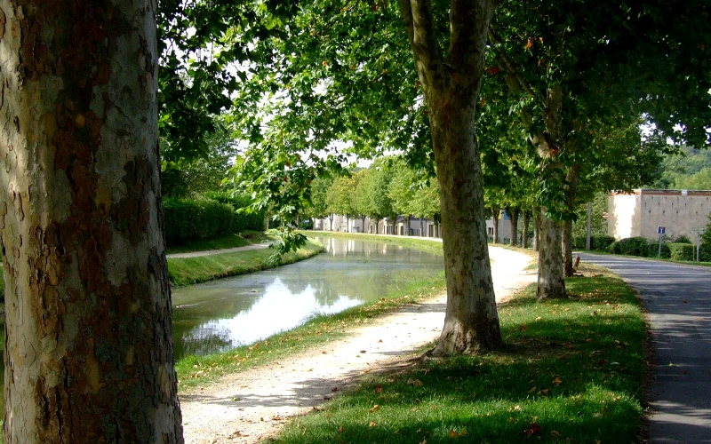 Saint-Amand-Montrond