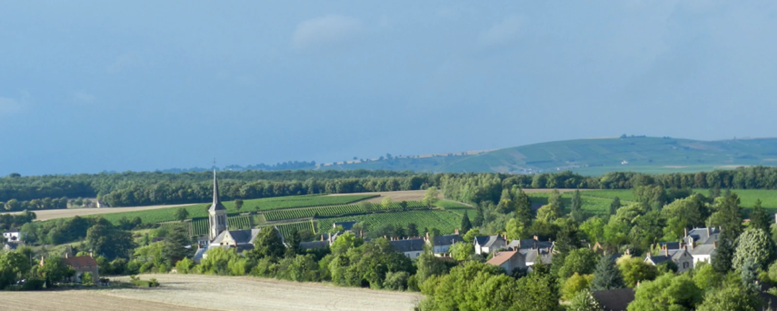 Vue de Veaugues, Cher