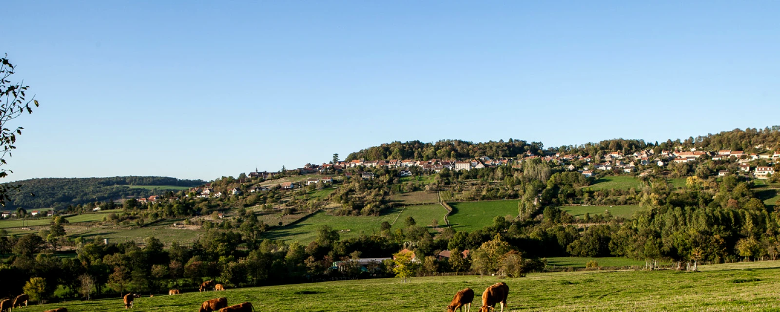 Vue de Alise-Sainte-Reine, Côte-d'Or