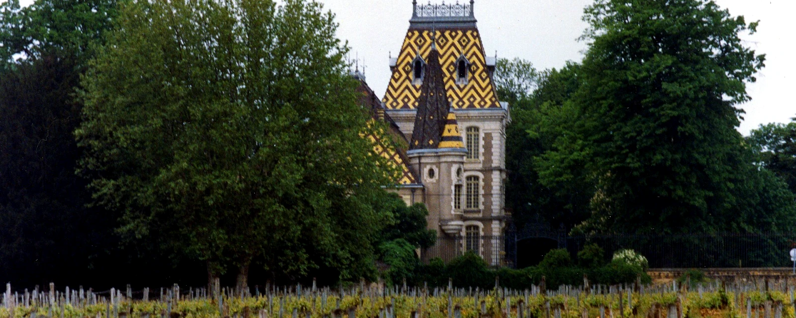 Vue de Aloxe-Corton, Côte-d'Or