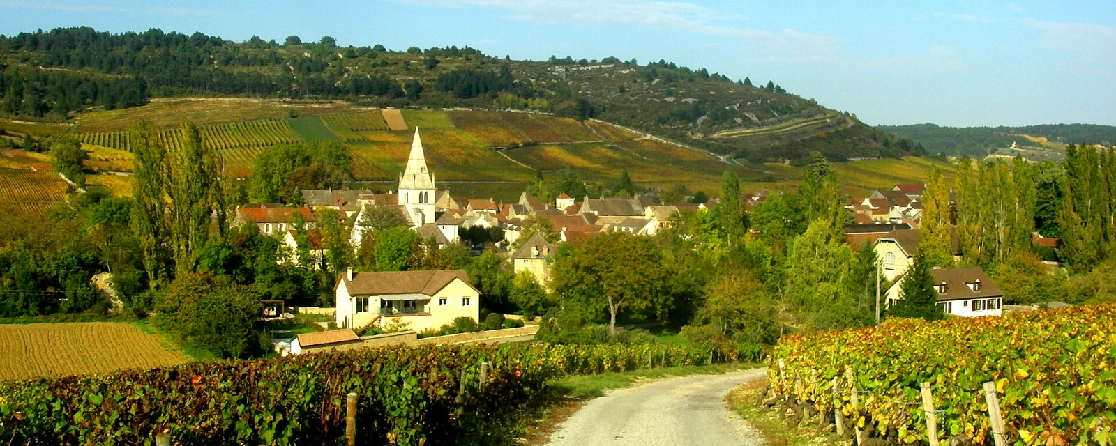 Vue de Auxey-Duresses, Côte-d'Or
