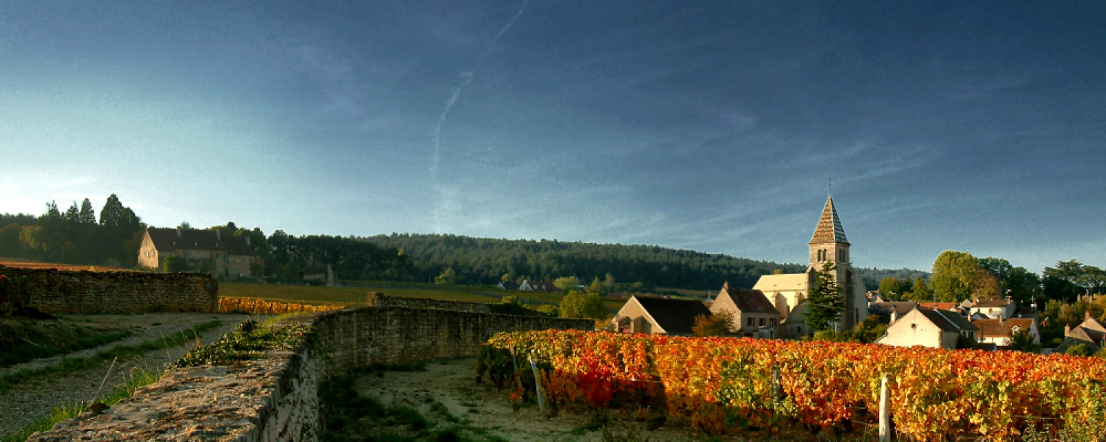 Vue de Fixin, Côte-d'Or
