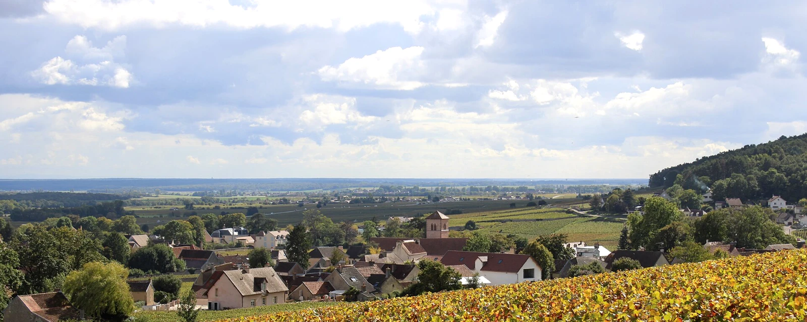 Vue de Gevrey-Chambertin, Côte-d'Or