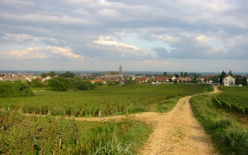 Marsannay-la-Côte