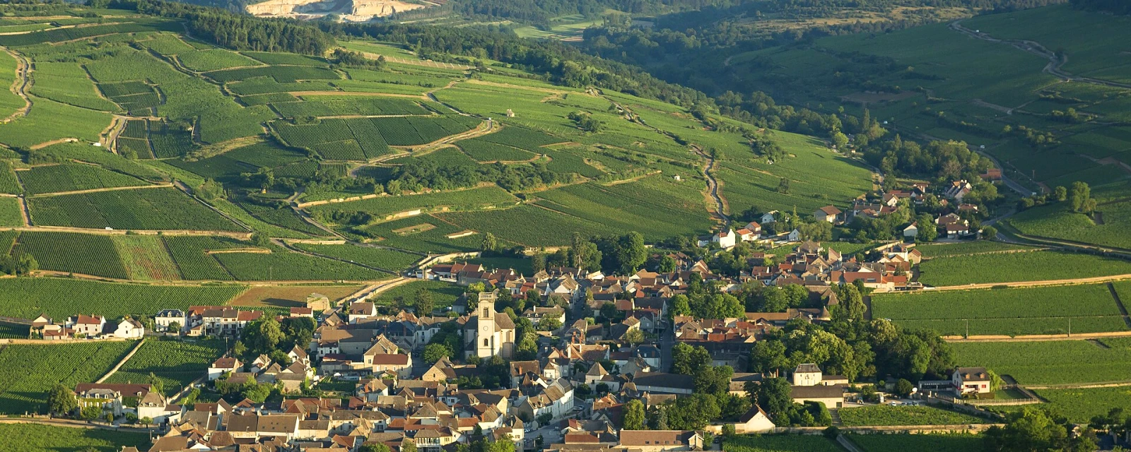 Vue de Pommard, Côte-d'Or