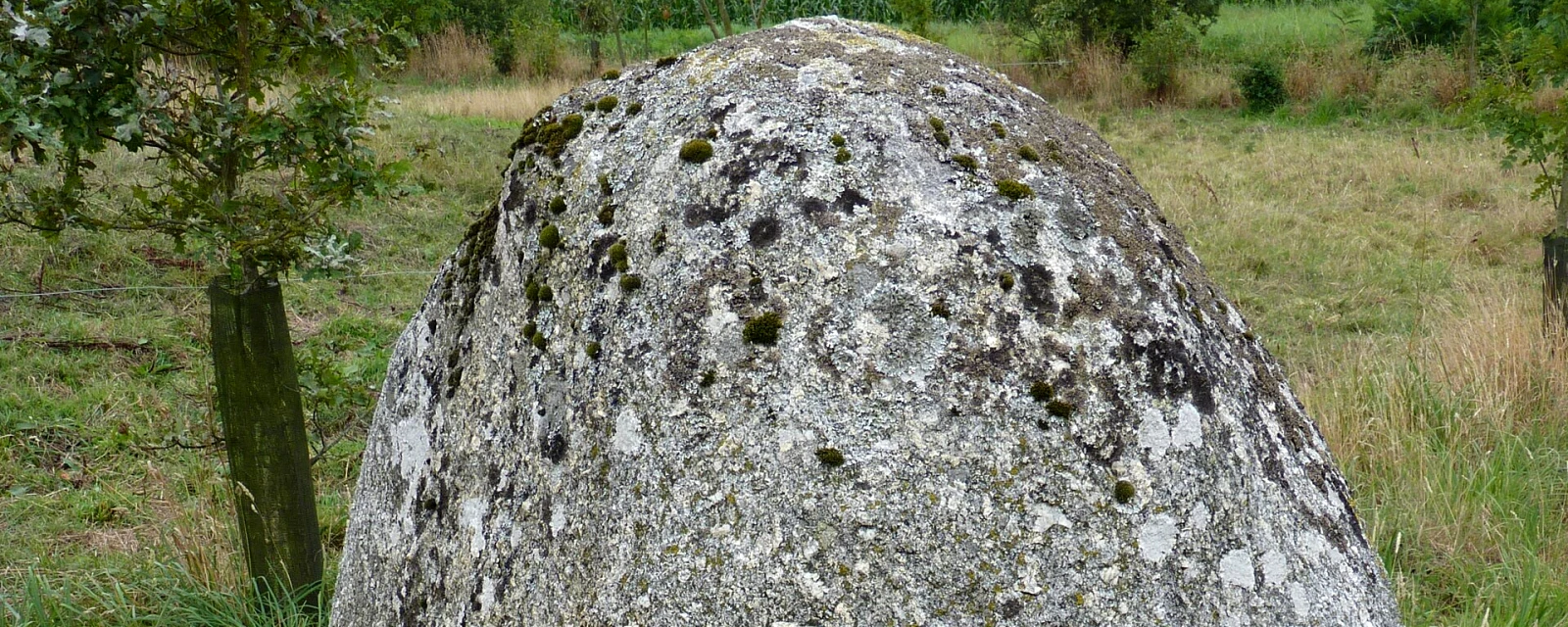 Vue de Plaintel, Côtes-d'Armor