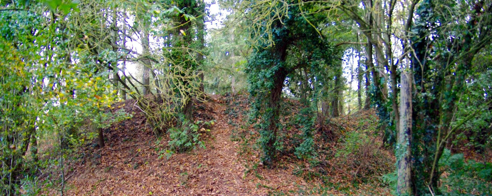 Vue de Plorec-sur-Arguenon, Côtes-d'Armor