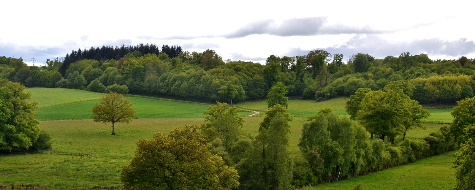 Vue de Saint-Maurice-la-Souterraine, Creuse