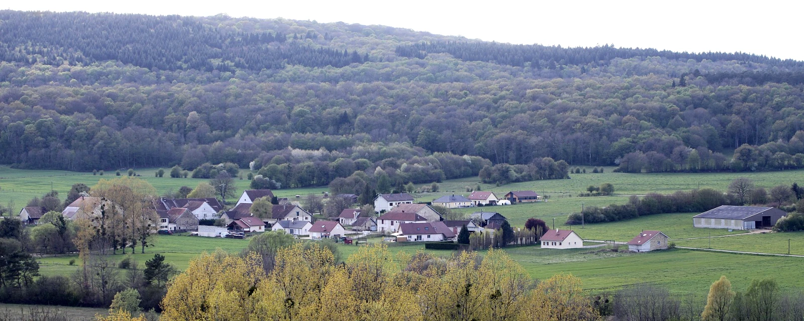 Vue de Palantine, Doubs