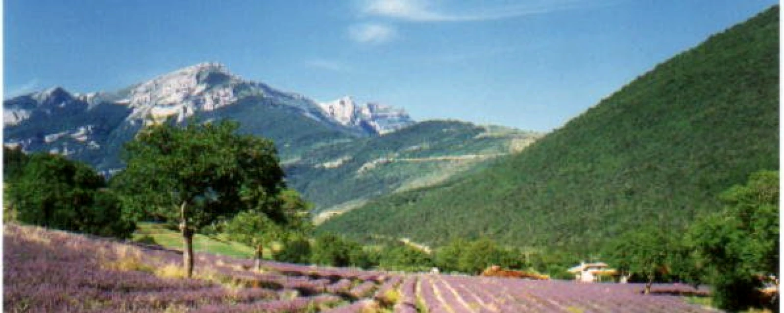 Vue de Chamaloc, Drôme